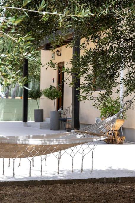 Olive Garden Villa Chania Chania  Eksteriør billede