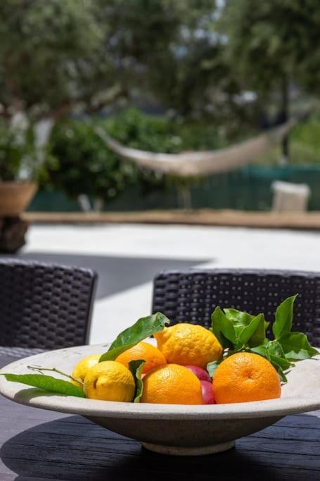 Olive Garden Villa Chania Chania  Eksteriør billede